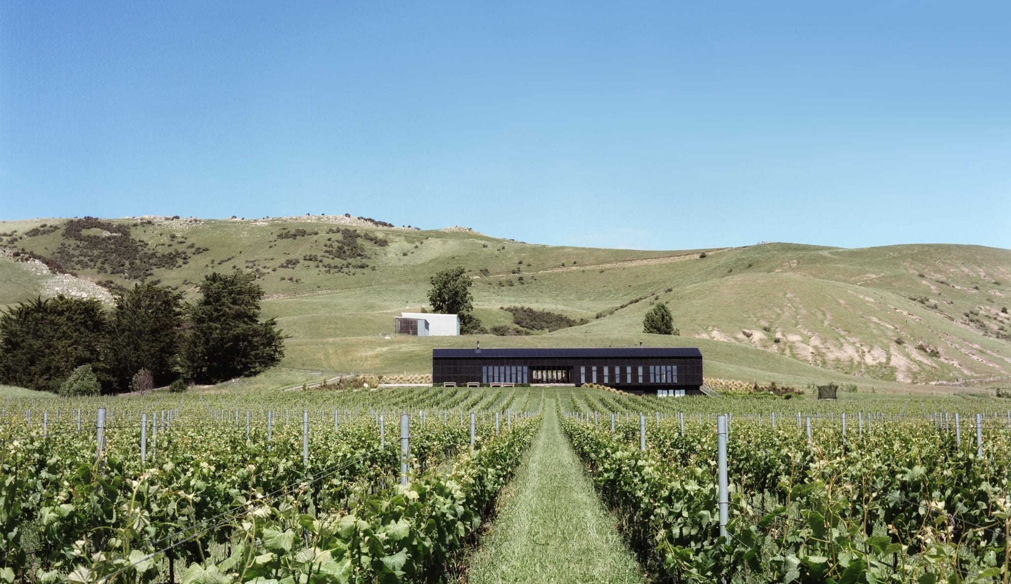 Black Estate Organic Winery