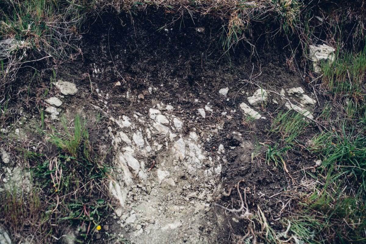Soils