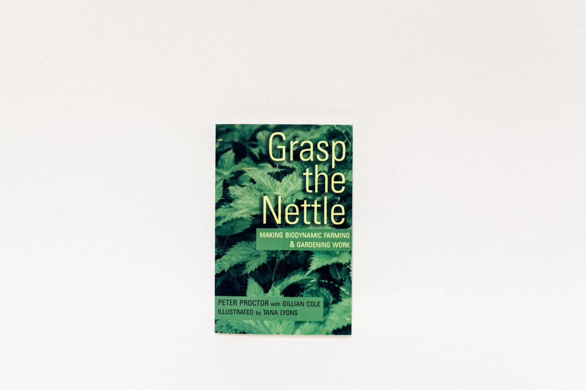 Black Estate Vineyard - North Canterbury | Grasp the nettle