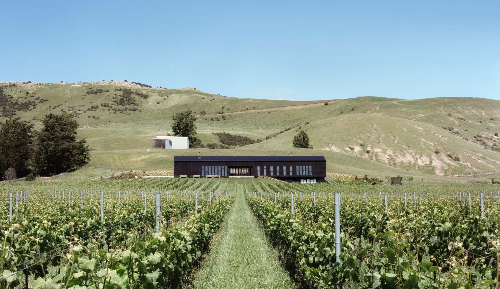 Black Estate Vineyard - North Canterbury | Home vineyard & Restaurant