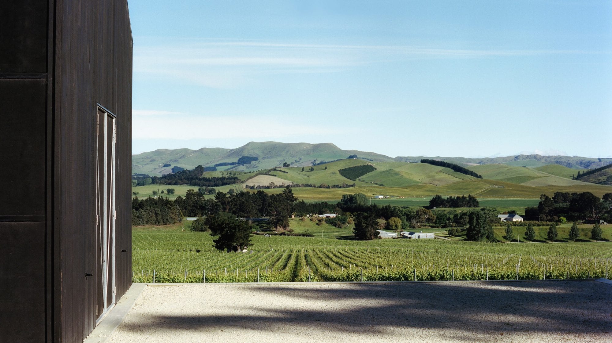 Black Estate Vineyard - North Canterbury | Home Vineyard 2