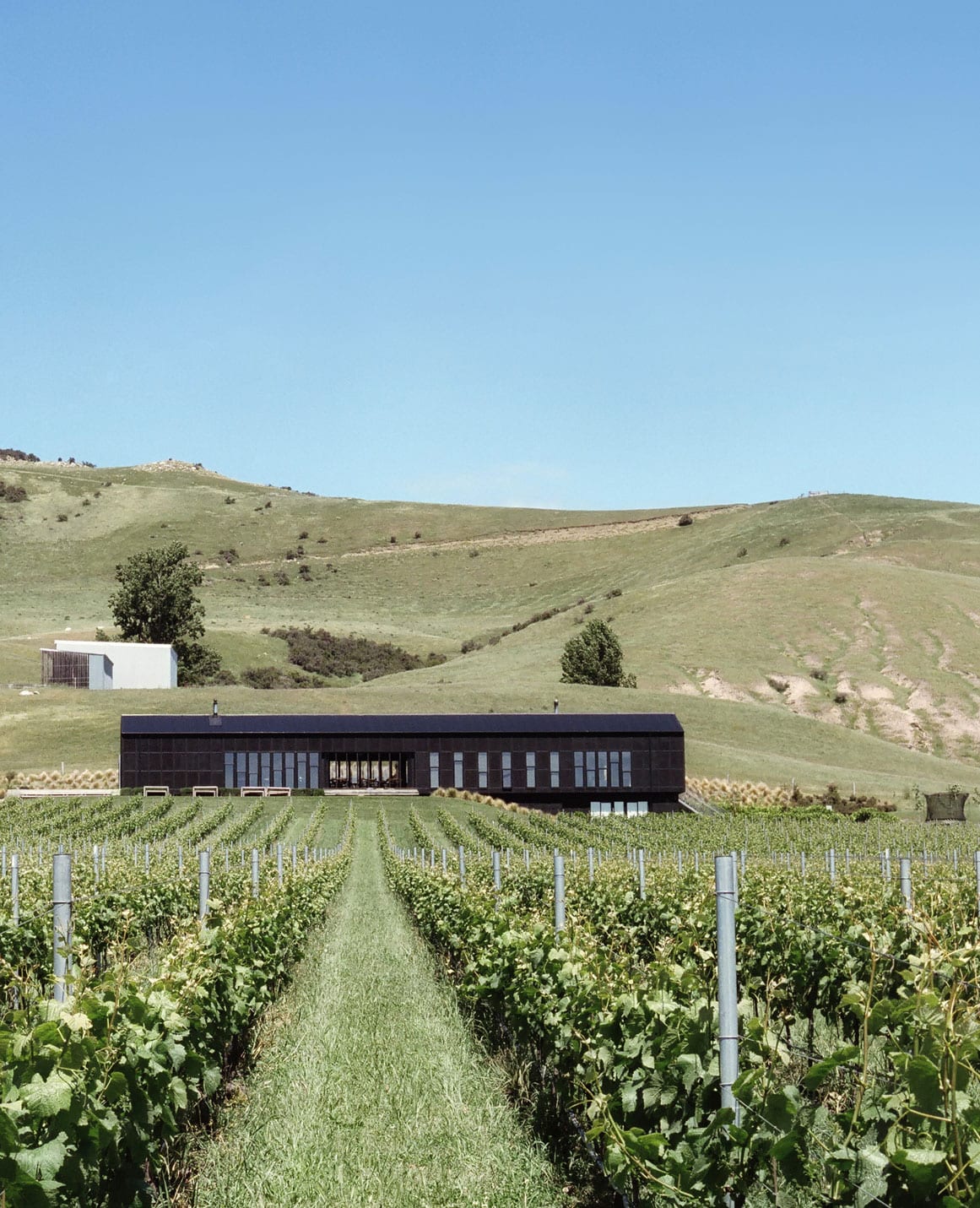 Black Estate Vineyard - North Canterbury | Restaurant