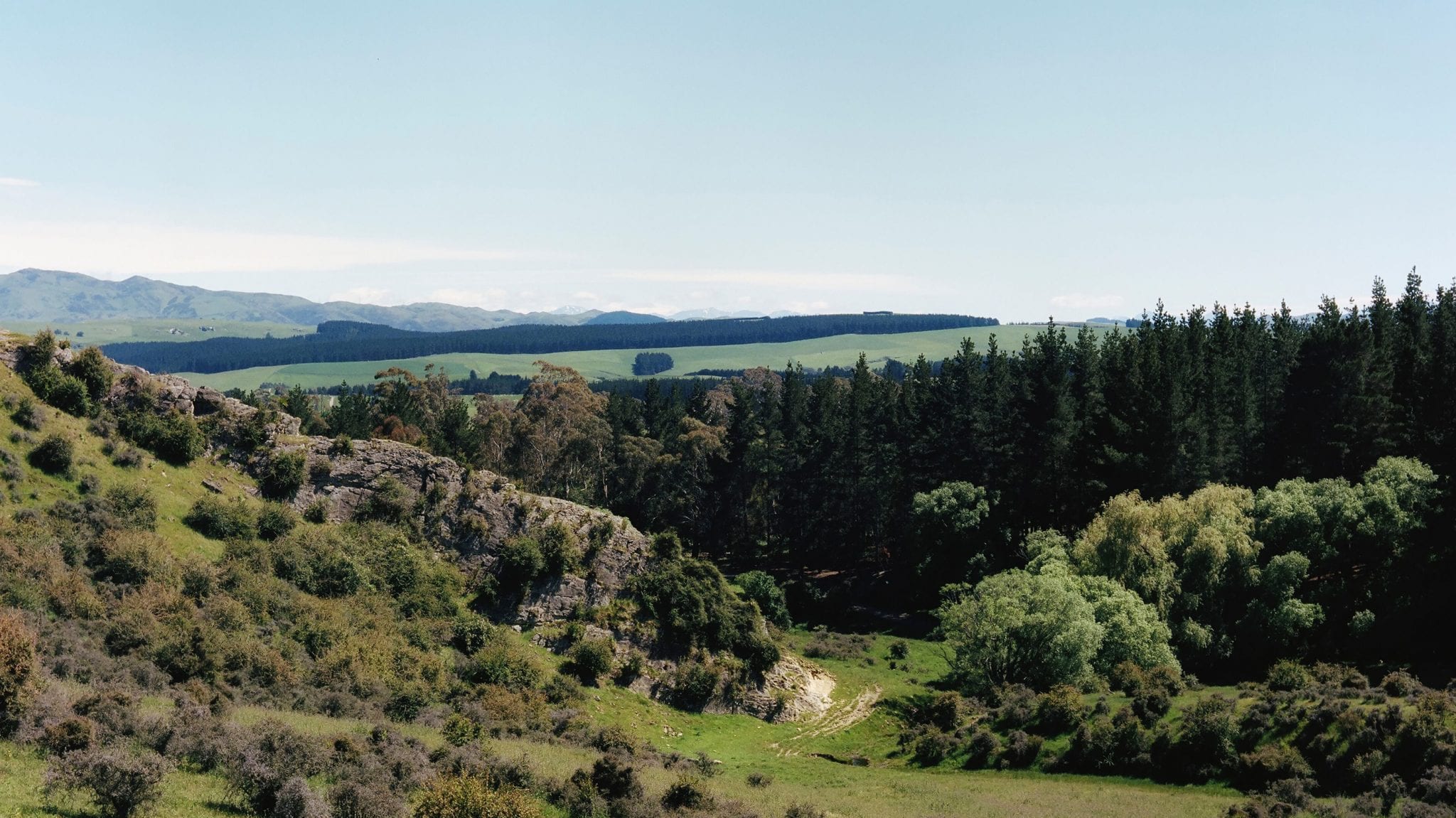 Black Estate Vineyard - North Canterbury | Hills 3