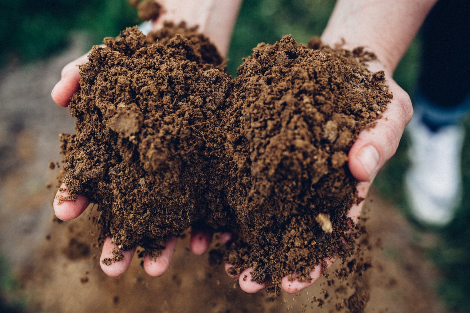 Black Estate Vineyard - North Canterbury | Netherwood Chardonnay Soil 3