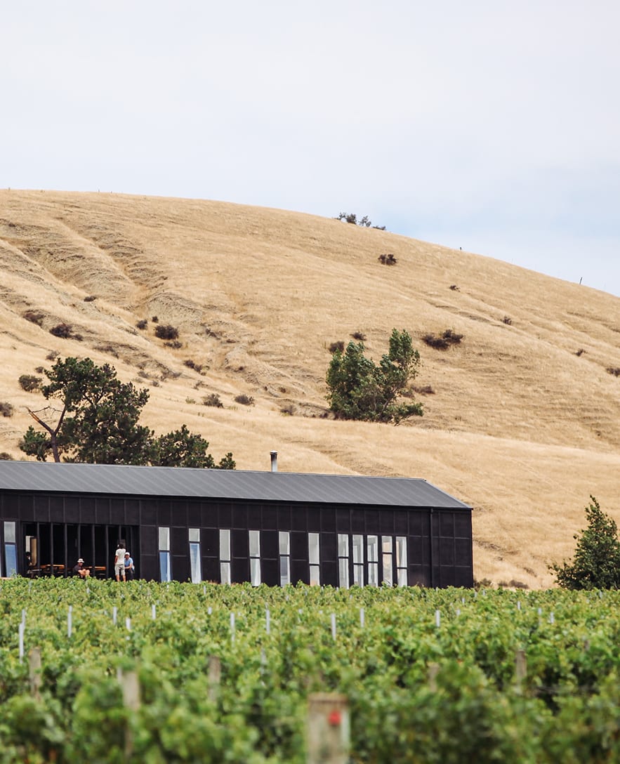 Black Estate Vineyard - North Canterbury | Restaurant Photo