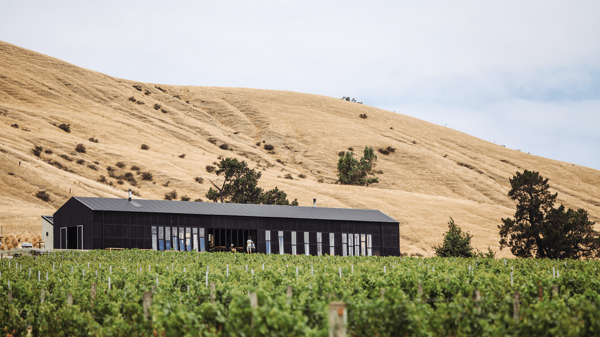 Restaurant Cellar Door Black Estate Organic Winery NZ