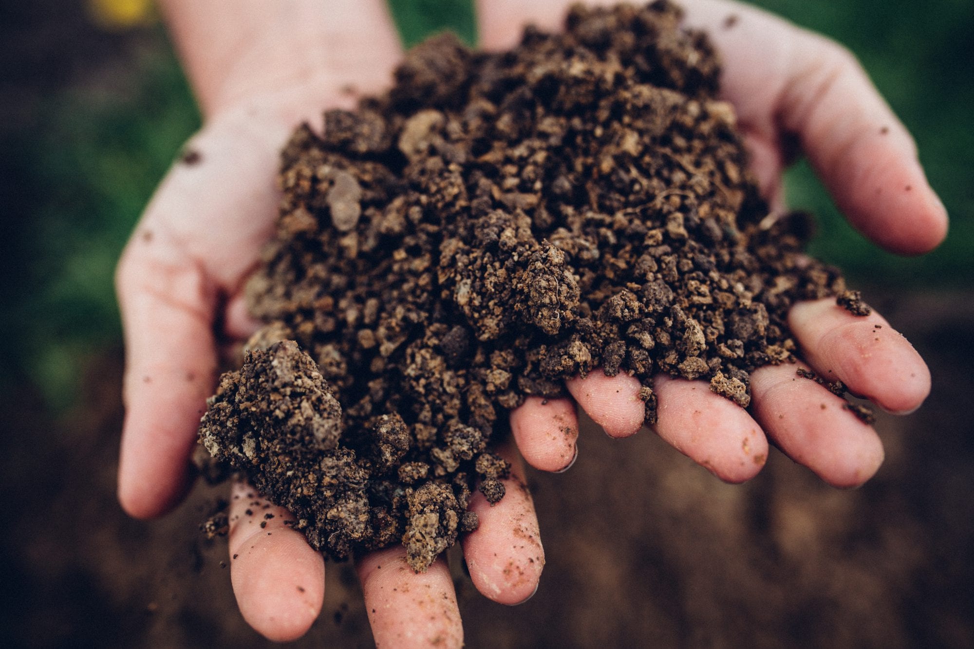 Black Estate Vineyard - North Canterbury | Netherwood Chardonnay Soil 2