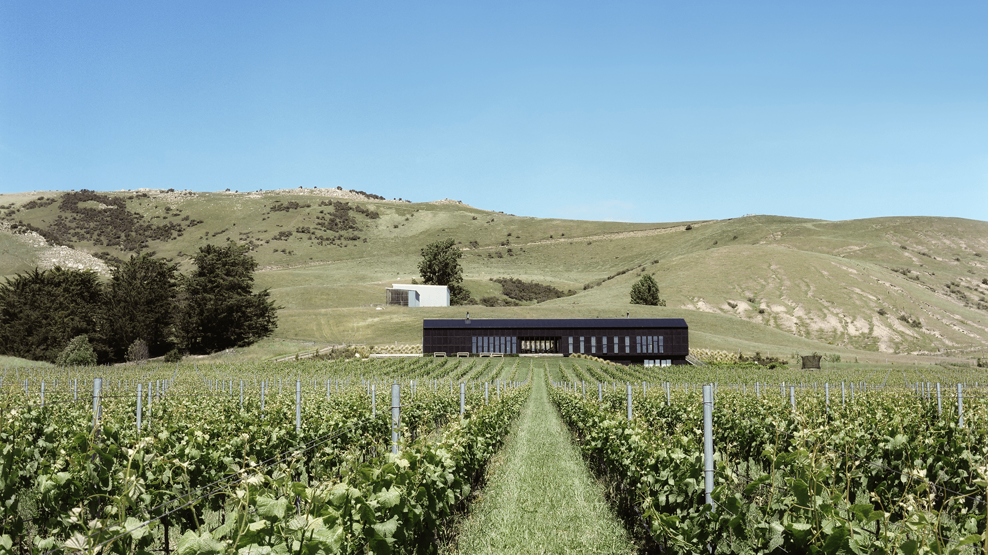 Black Estate Vineyard - North Canterbury | Restaurant 4