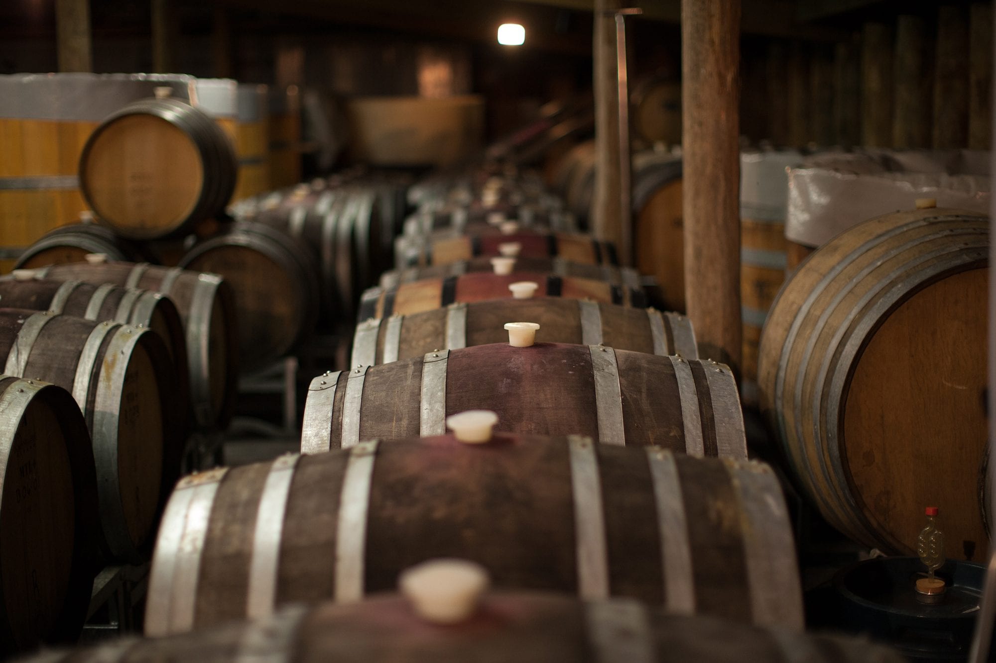 Black Estate Vineyard - North Canterbury | Winery Barrels