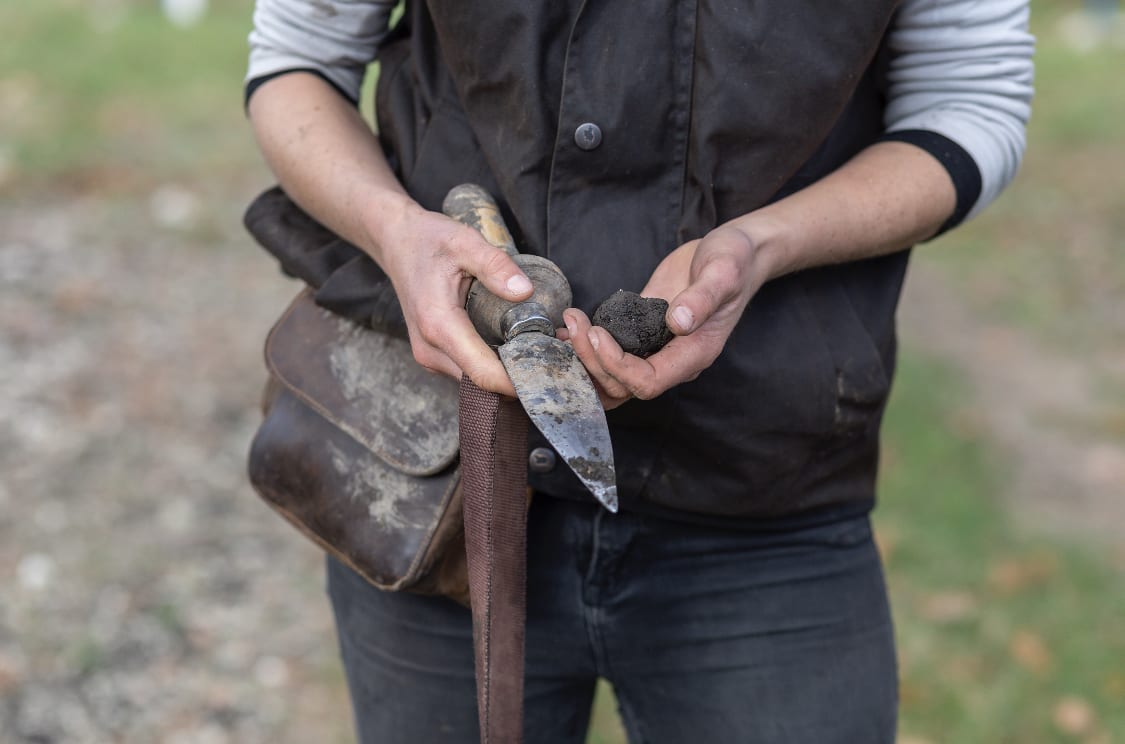 Black Estate Vineyard - North Canterbury | Truffles 3